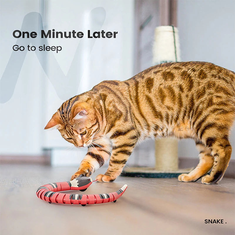 Serpent interactif automatique pour chat rechargeable USB – photo 6
