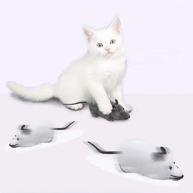 Souris télécommandée pour chat – photo 5