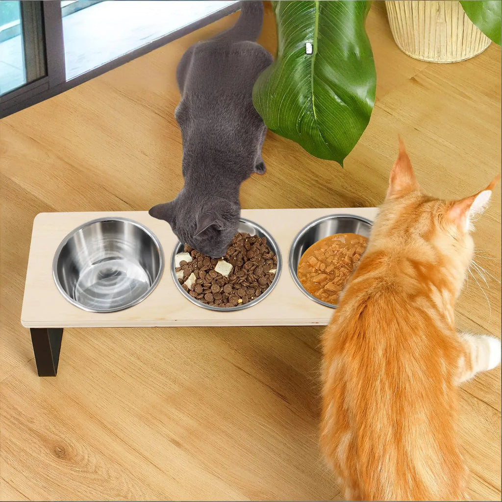 Support incliné à 15° avec 3 gamelles en inox pour chat – photo 2