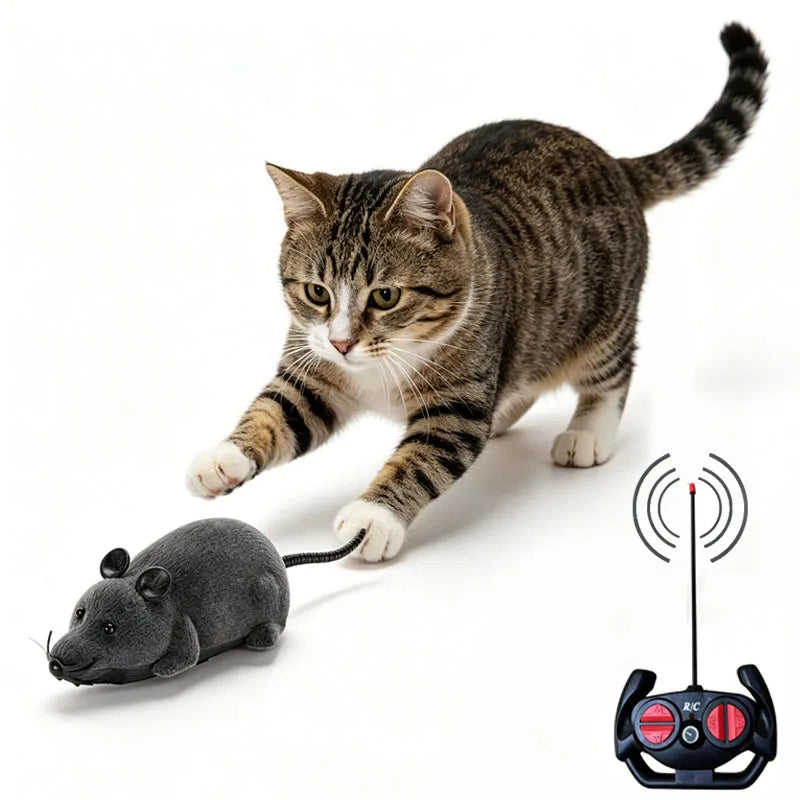 Souris télécommandée pour chat